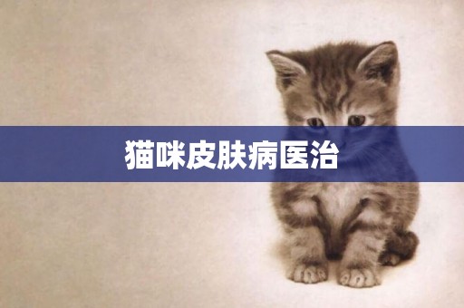 猫咪皮肤病医治